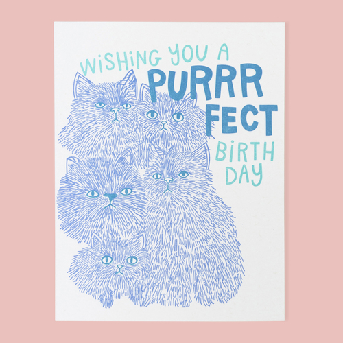 Wishing you Purrrfect Birthday D