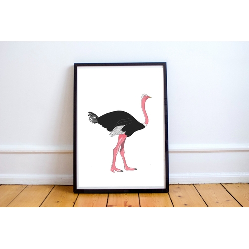 Ostrich A3 Print