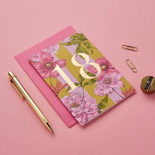 Age Milestone Collection - 18