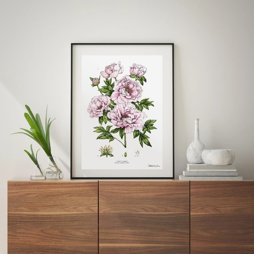 Tree Peony Art Print