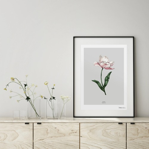 Botanical Tulip Spring Blossom Art Print