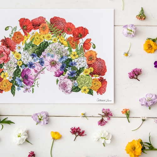 Botanical Rainbow Art Print