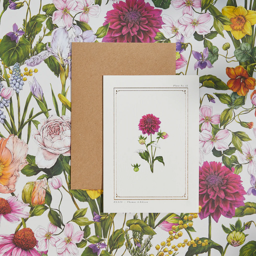 The Botanist Archive Everyday Edition - Dahlia