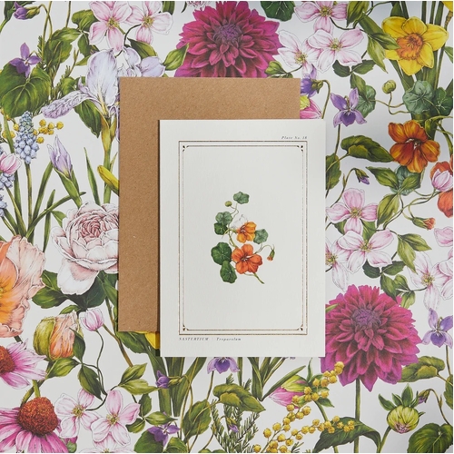 The Botanist Archive Everyday Edition - Nasturtium