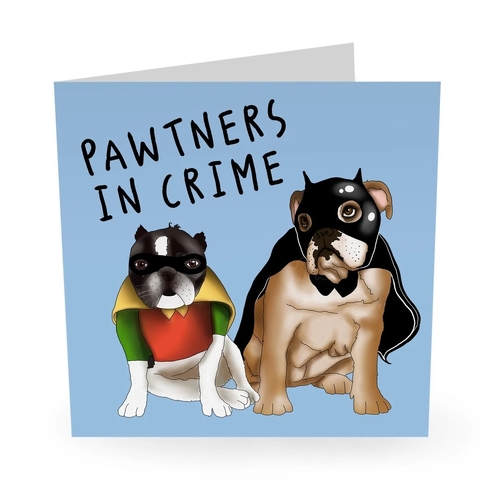 Batman Robin Pawtners In Crime