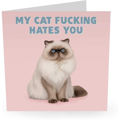 MY CAT FUCKING HATES YOU