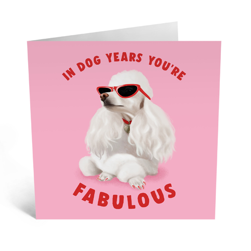 IN DOG YEARS YOU'RE FABULOUS