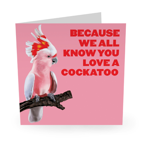 You Love A Cockatoo