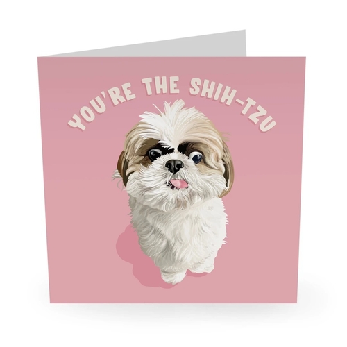 You're The Shih-Tzu