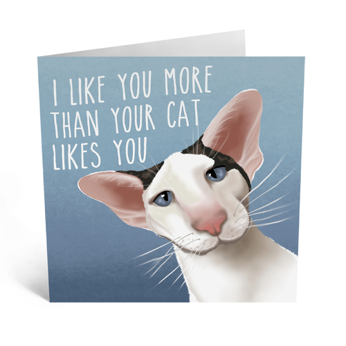 I Like You More Than Your Cat Likes You.