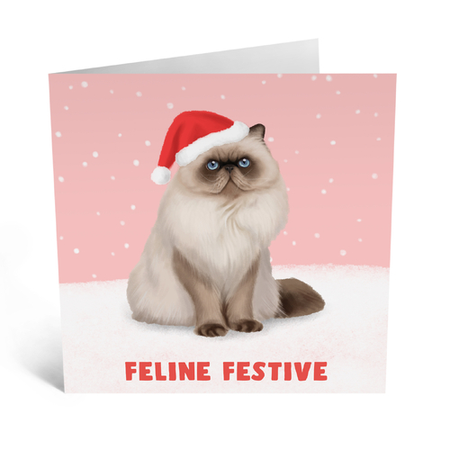 Feline Festive Cat