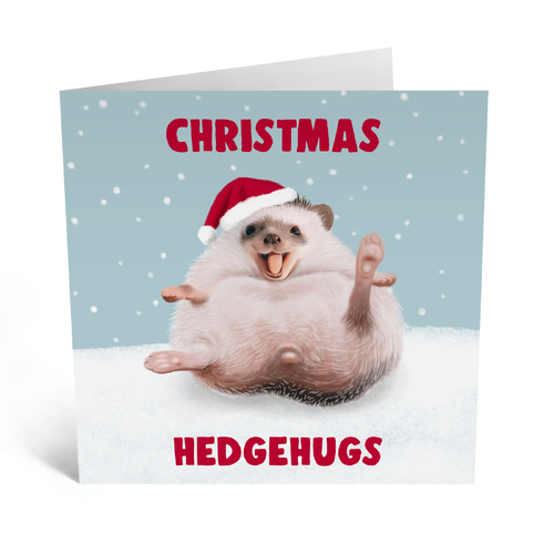 Christmas Hedgehugs.