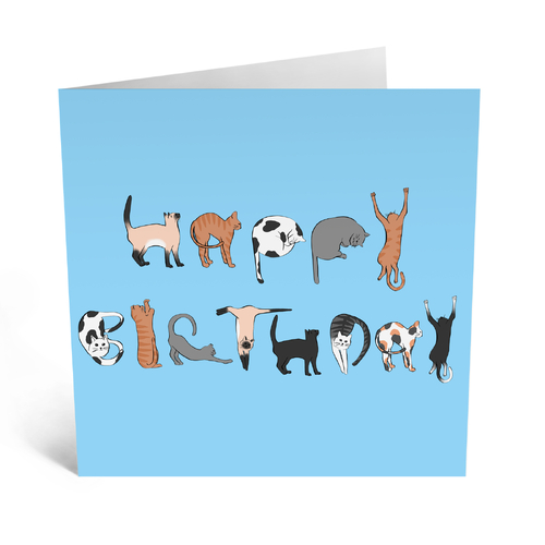 Cat Birthday .
