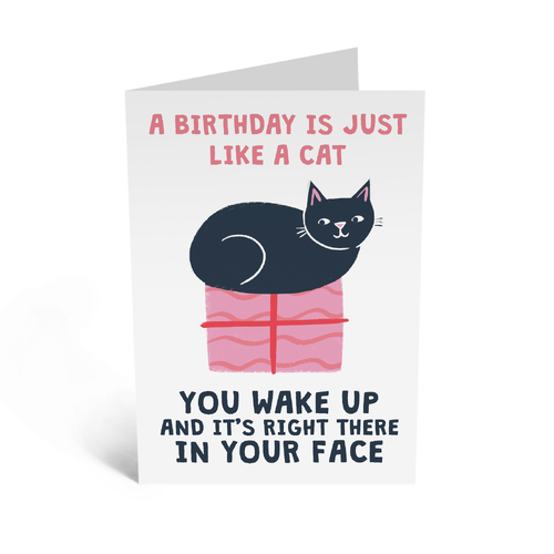 Just Like A Cat Birthday.