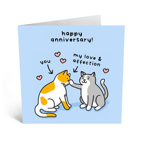 Cat Love Anniversary