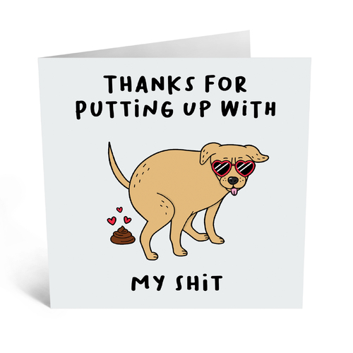 Thanks For Putting Up With My Shit .