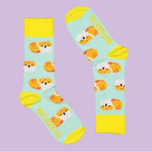 Men's Mint/Yellow Grumpy Cat socks