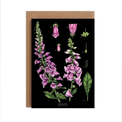 Foxglove - Black