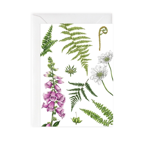 Foxglove & Ferns