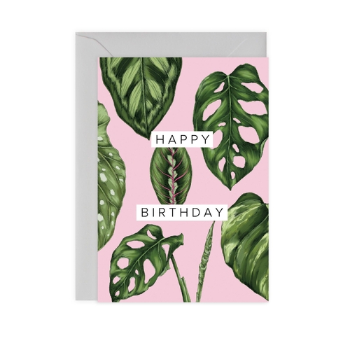 Houseplants - Happy Birthday