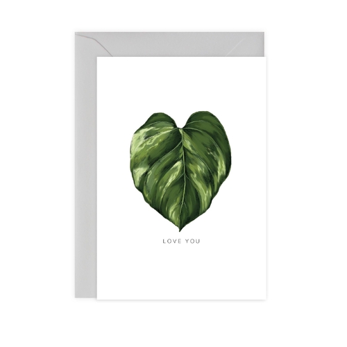 Golden Pothos - Love You