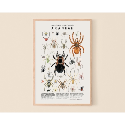 Aranae Print