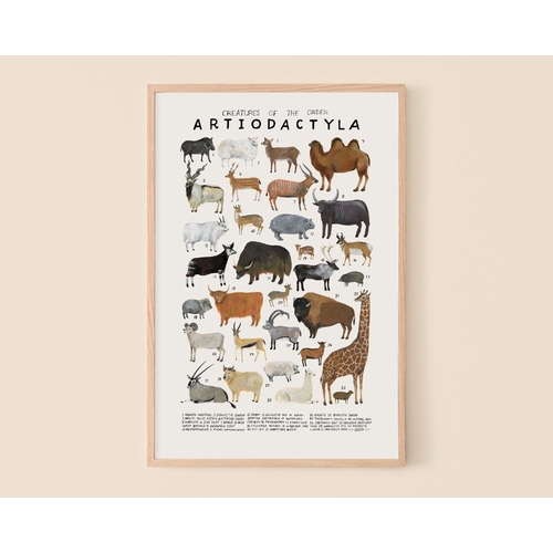 Creatures Of The Order Artiodactyla