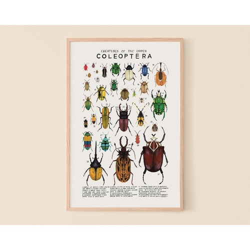 Coleoptera Print