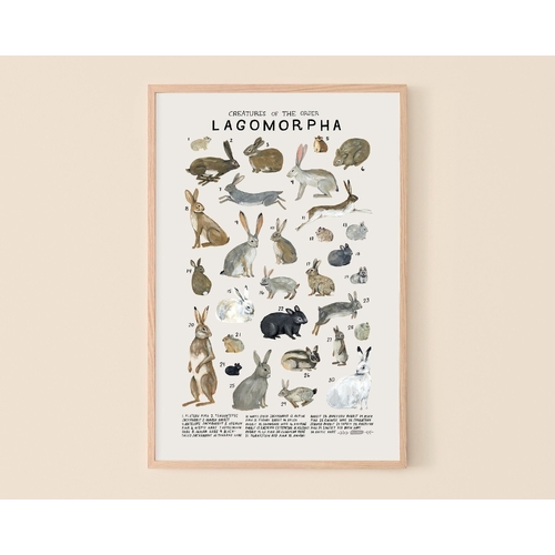 Lagomorpha Print