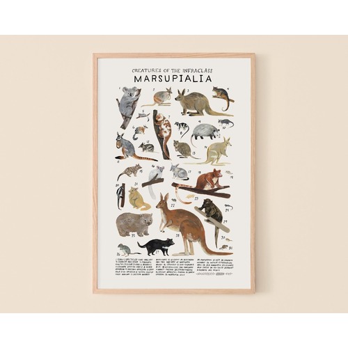 Marsupialia Print