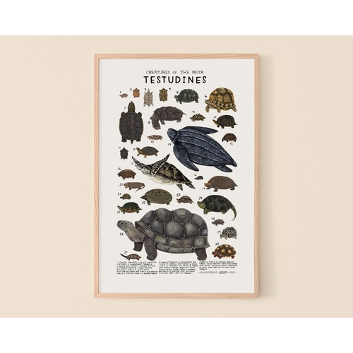 Testudines Print
