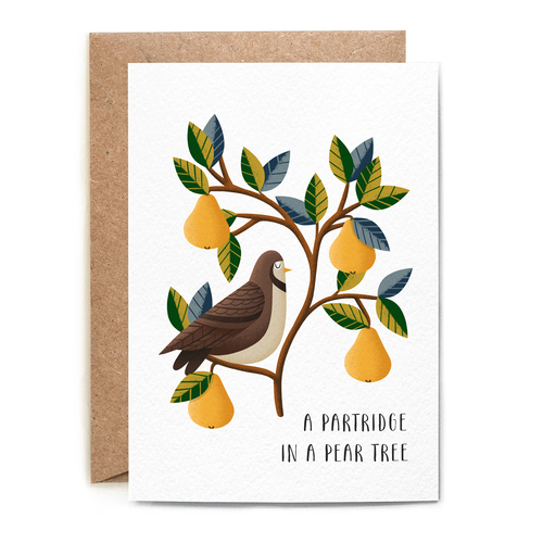 Partridge in a Pear Tree