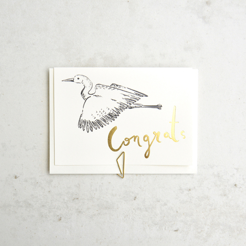 Stork - Congratulations