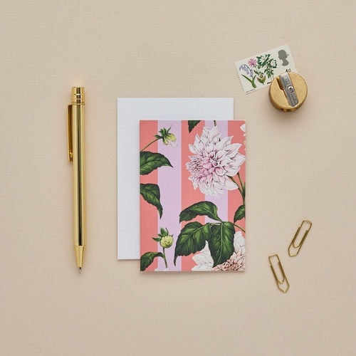 Mini Card - Dahlia Stripe Pink