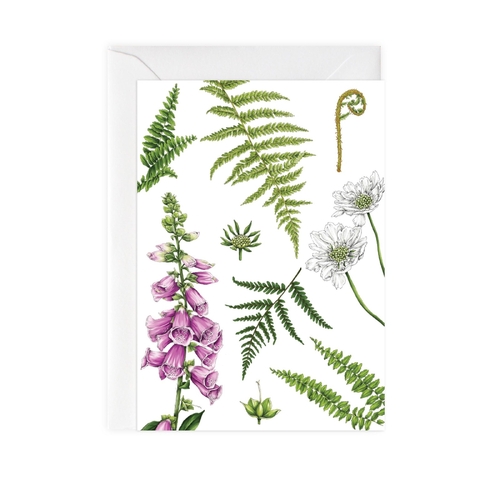 Summer Garden - Foxglove & Ferns