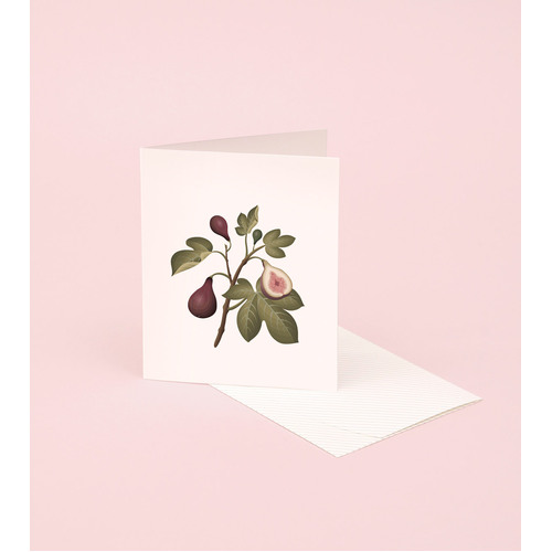 Botanical Scented Card - Fig