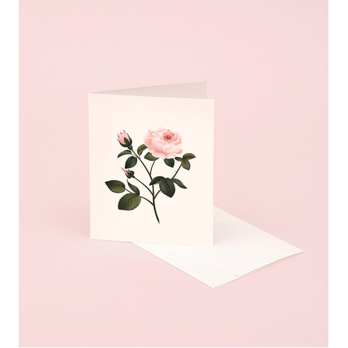 Botanical Scented Card - Rose