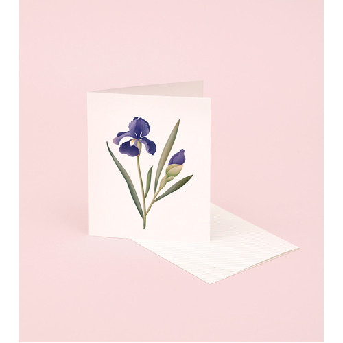 Botanical Scented Card - Iris
