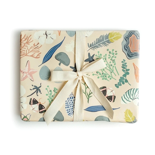 Natural Curiosities Wrap - Single Sheet