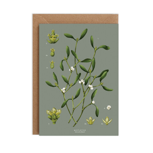 Species Christmas - Mistletoe 